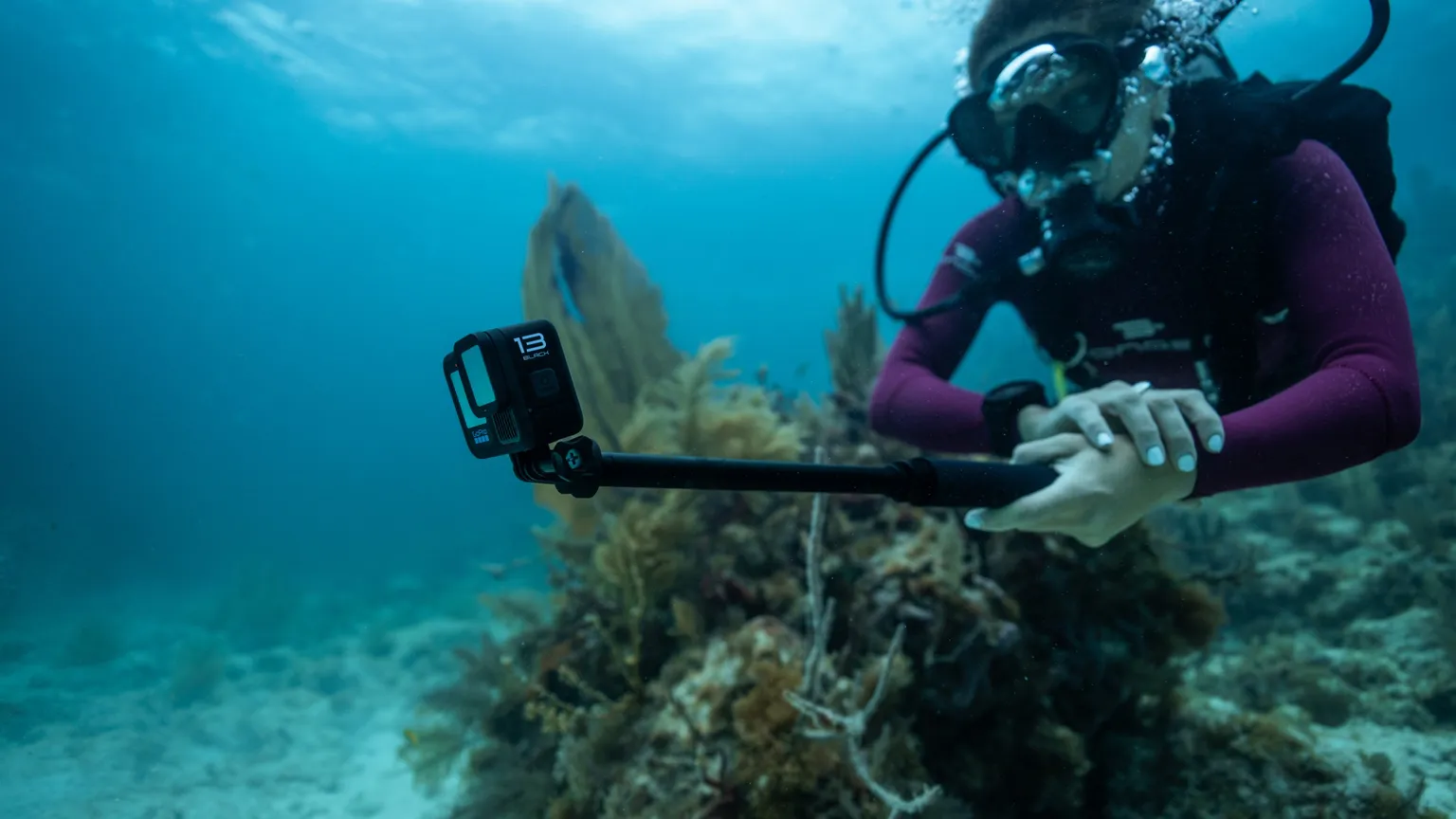 Haste extensível de 1,2 m (4 pés) - Imagem 2